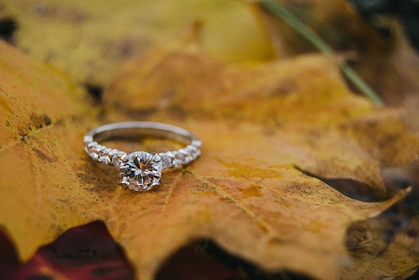 Ohio Fall Engagement Session_0024