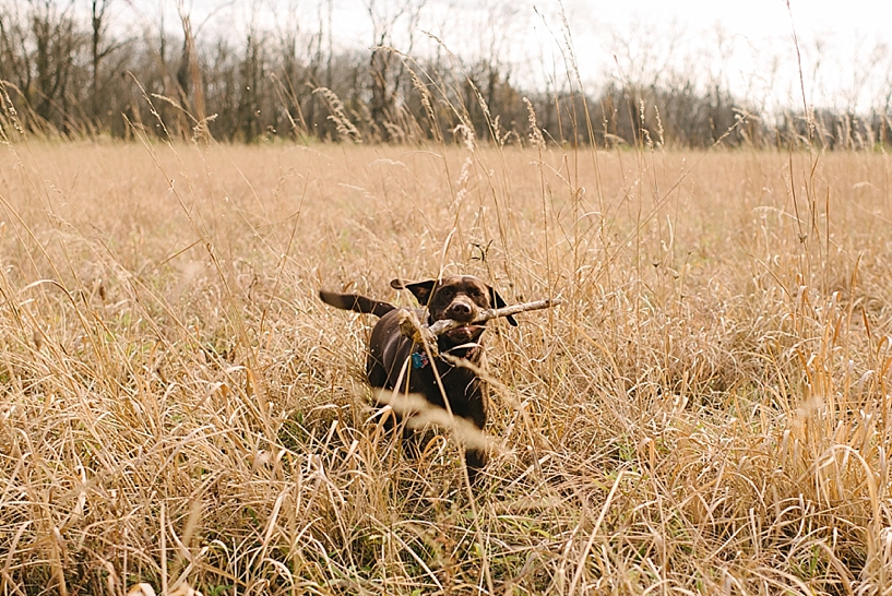 Lifestyle Family Farm Session_0006
