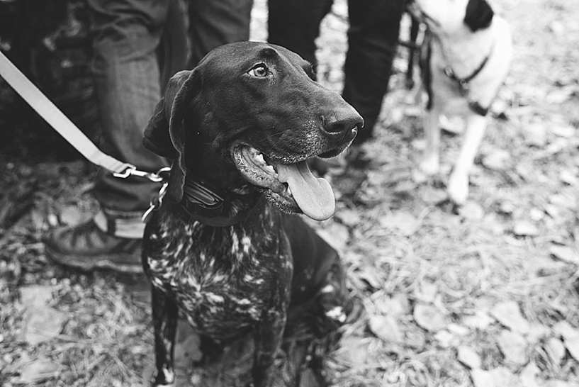 Lifestyle Family Farm Session_0012