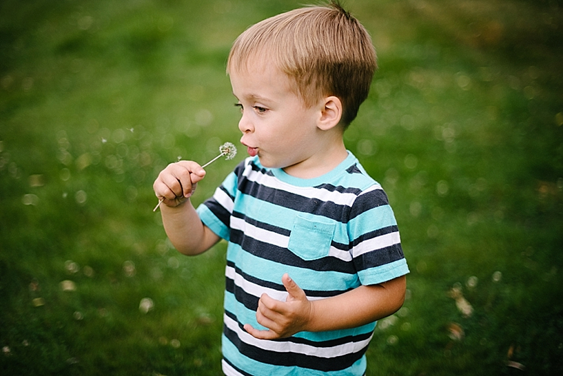 little boy making a wish on a dandelion