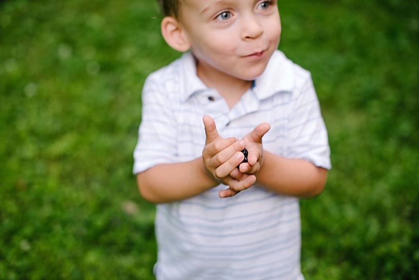 little boy holding blackberries