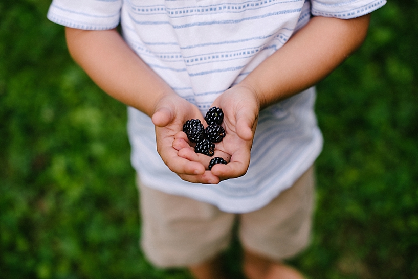 little boy holding blackberries