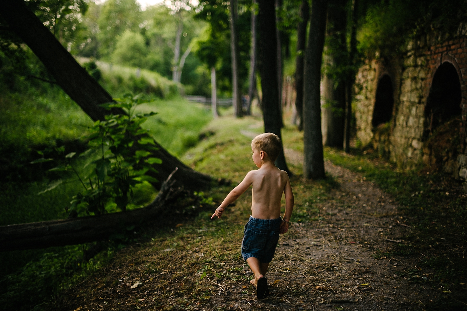 little boy walking through woods
