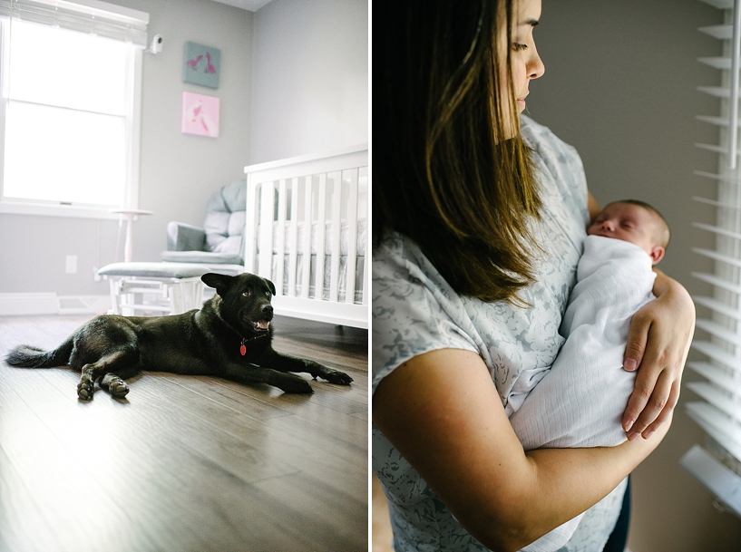 mother holding newborn by window and dog laying in nursery