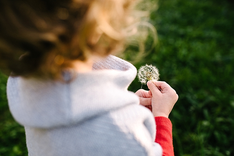 little girls with curly hair holding dandelion