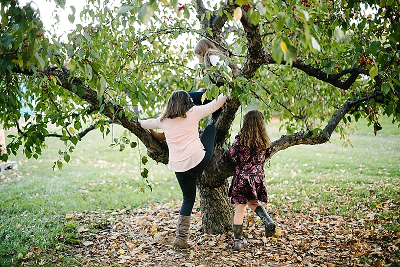 little girls climbing apple tree