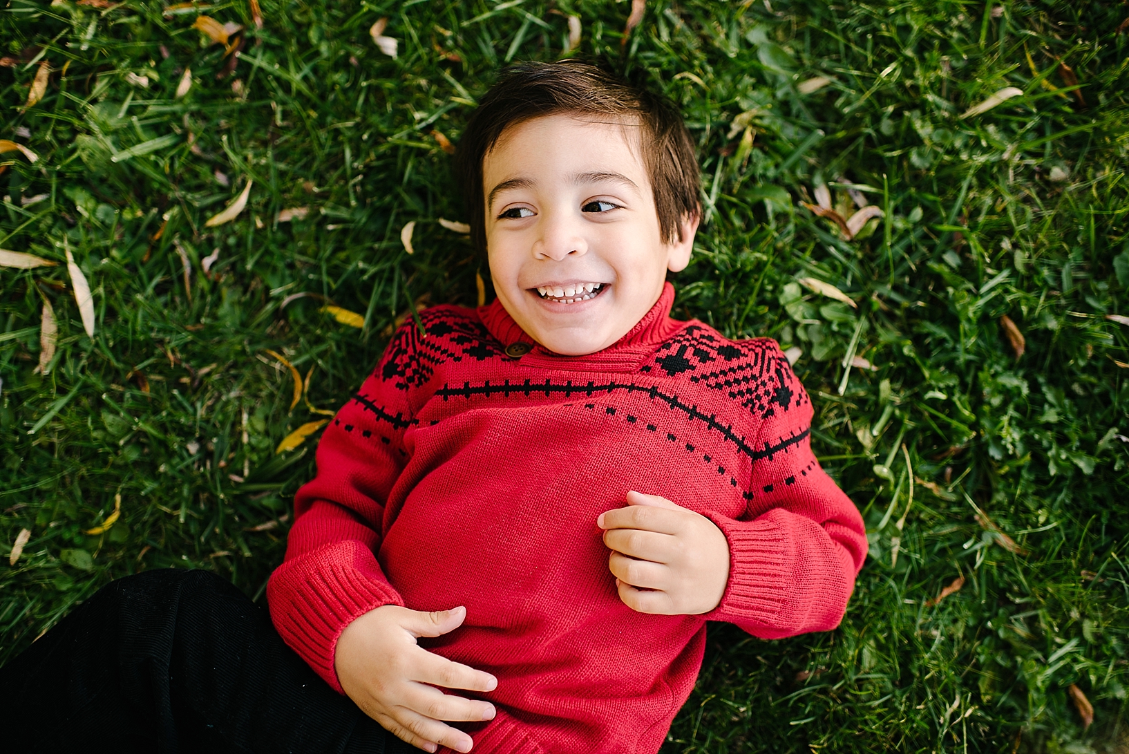 little boy in red Christmas sweater laying in the grass smiling