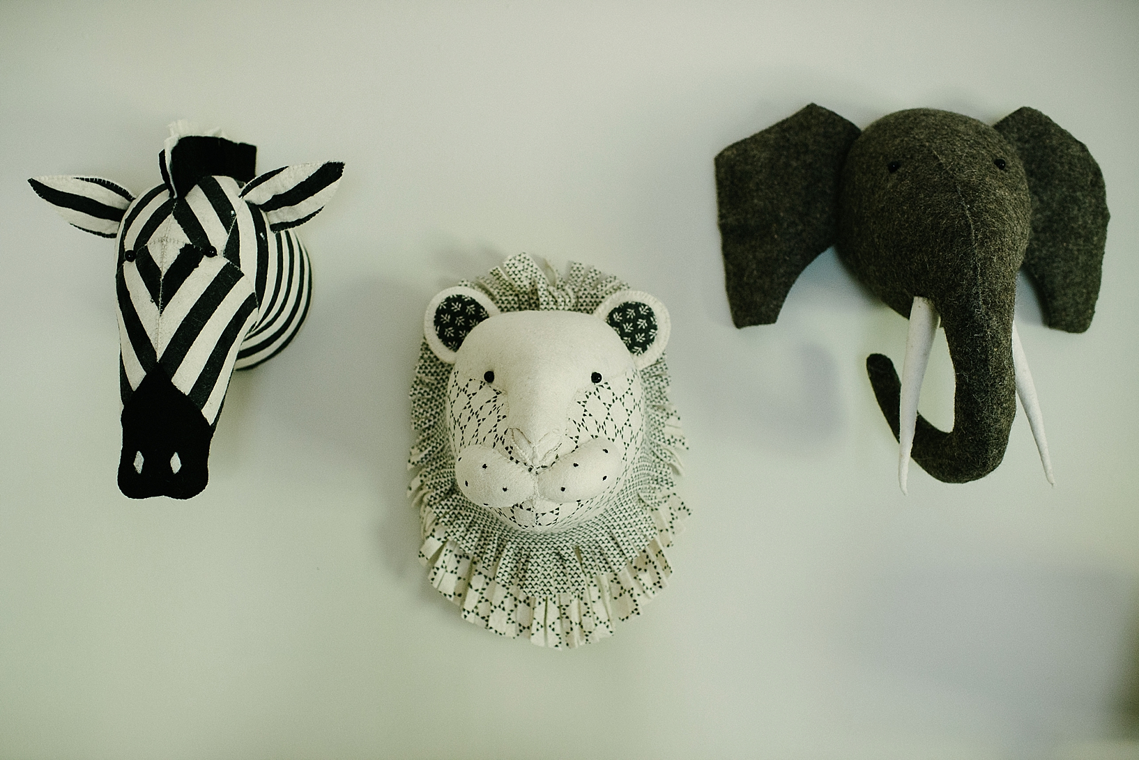 stuffed zebra, lion, and elephant heads on nursery wall