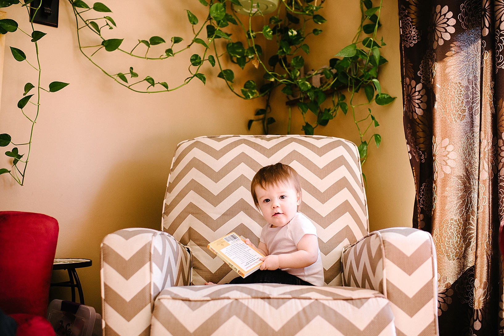 toddler boy in white onesie sitting on chevron chair reading a book with plant hanging on wall behind chair
