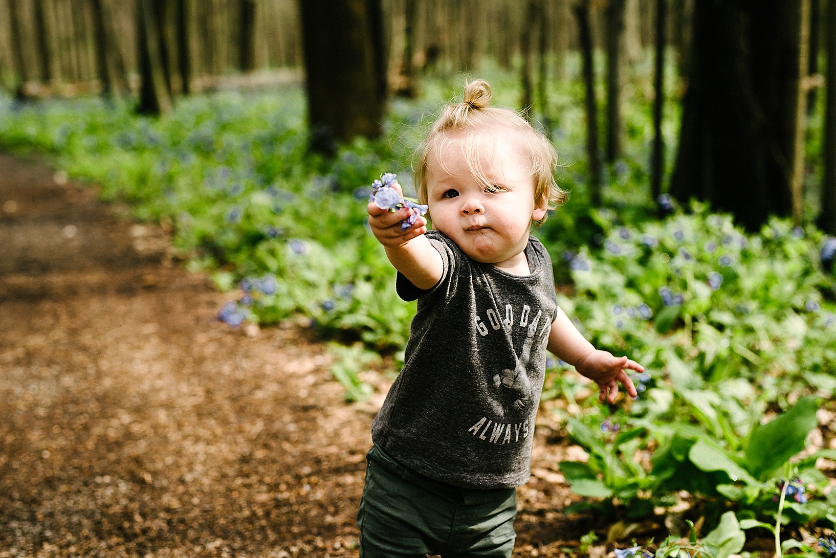 hipster toddler boy with man bun picking bluebells