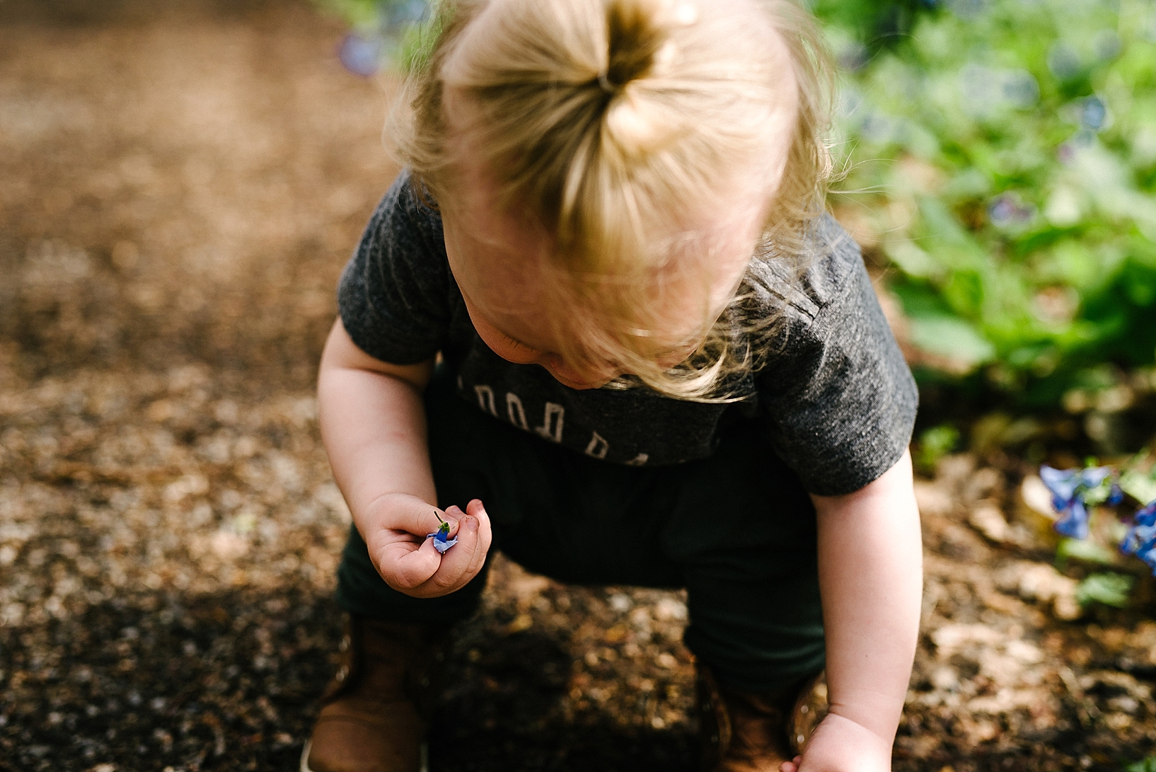 hipster toddler boy with blue bell playing in dirt and picking bluebells