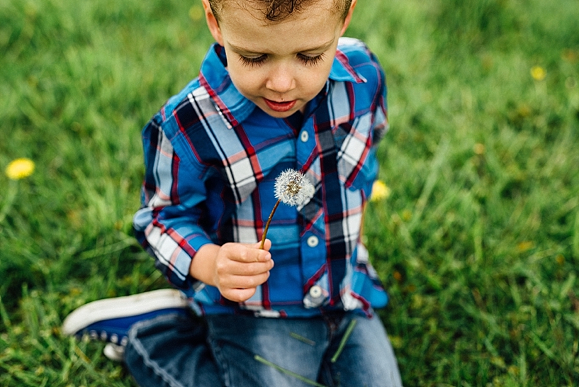 young boy wearing blue converse and blue and red plaid shirt sitting in grass holding dandelion