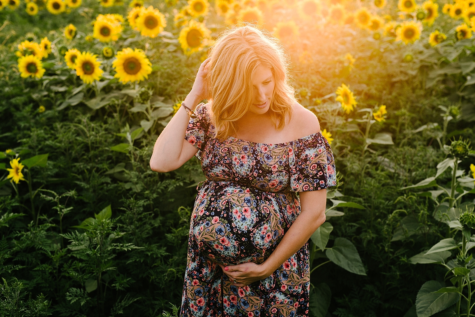 sunflower field maternity family session_0013
