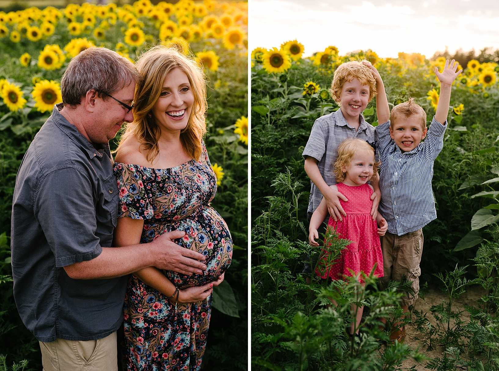 sunflower field maternity family session_0018