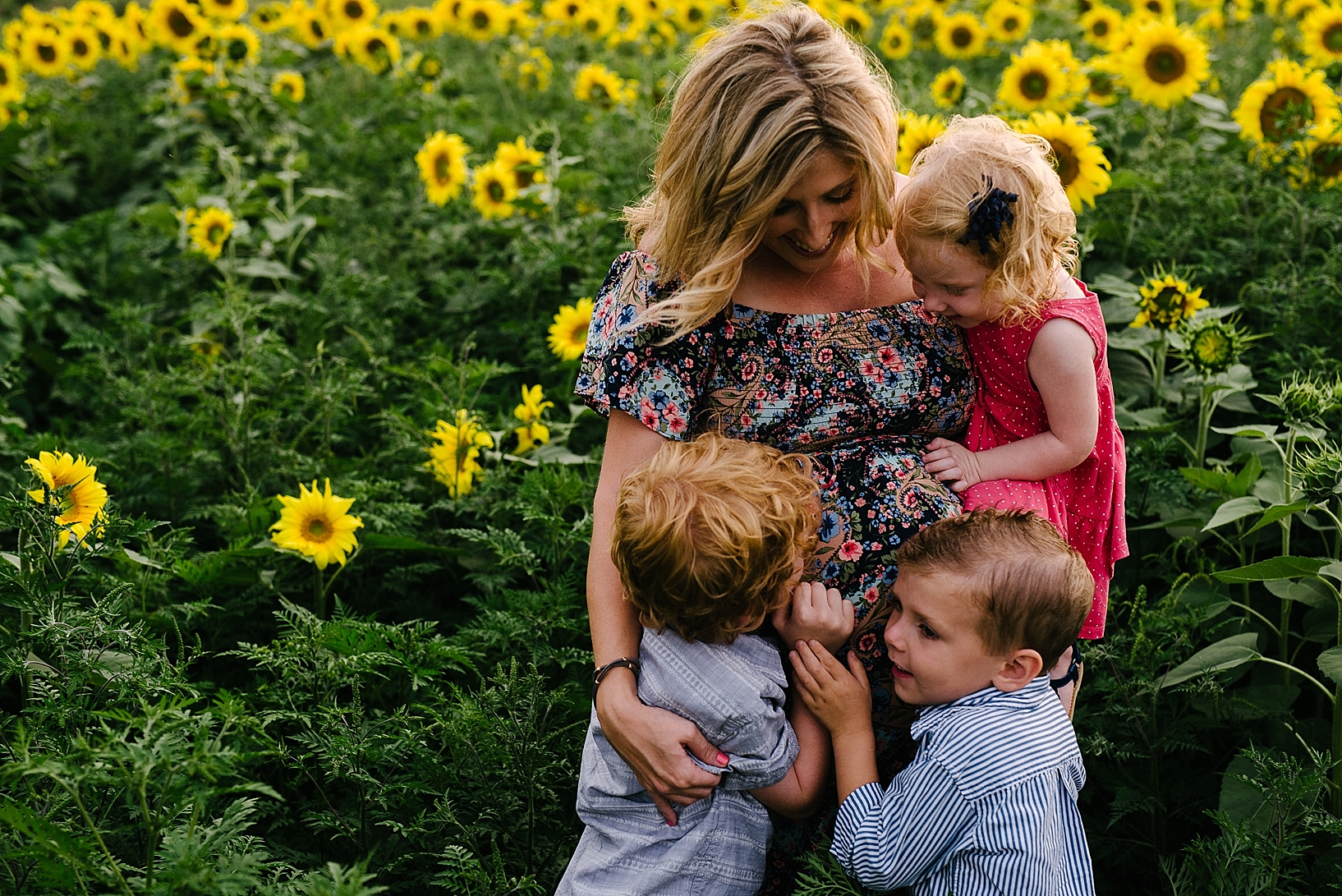 sunflower field maternity family session_0019