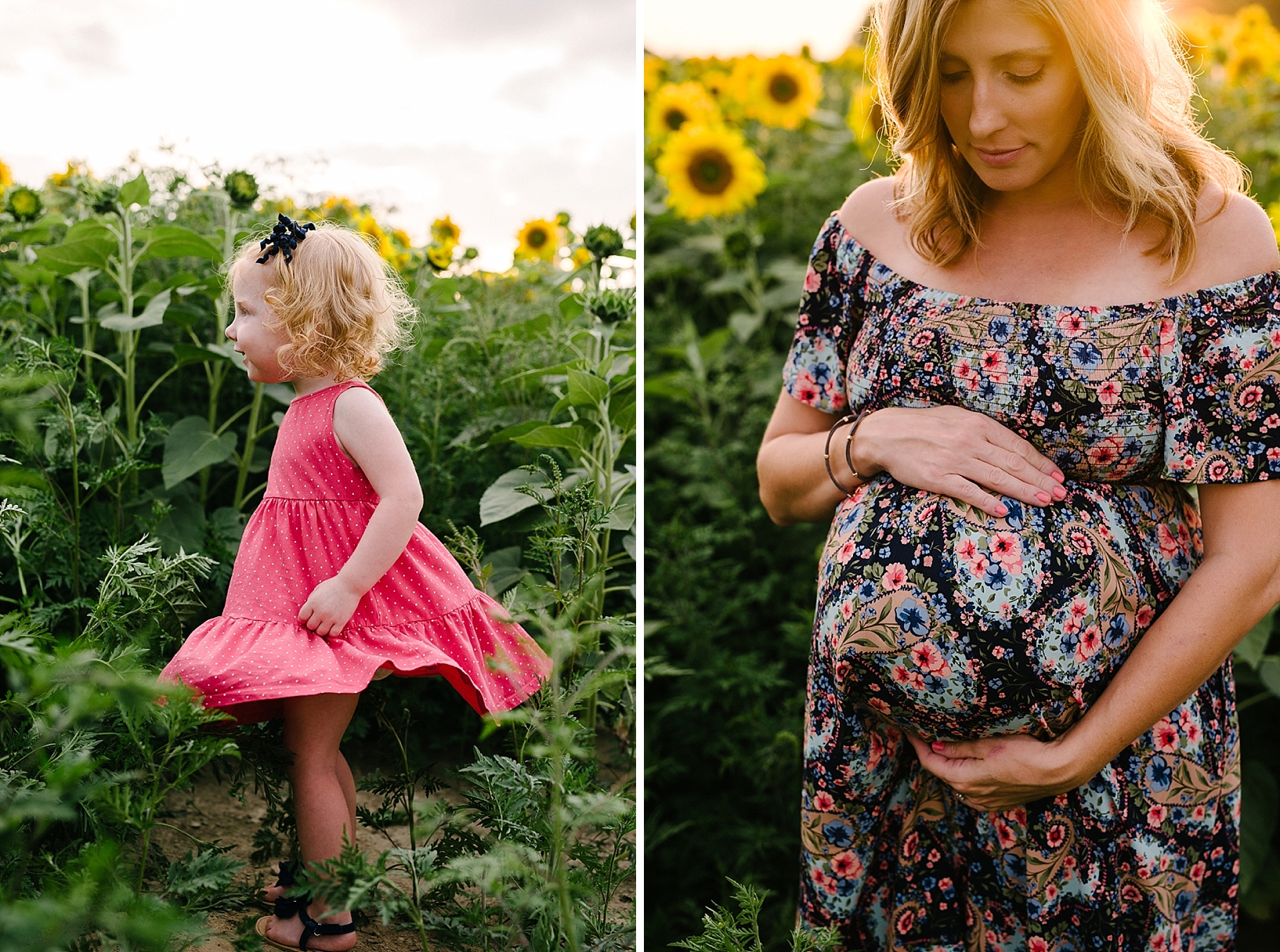 sunflower field maternity family session_0020