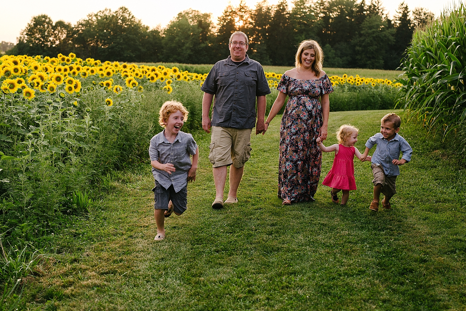 sunflower field maternity family session_0022