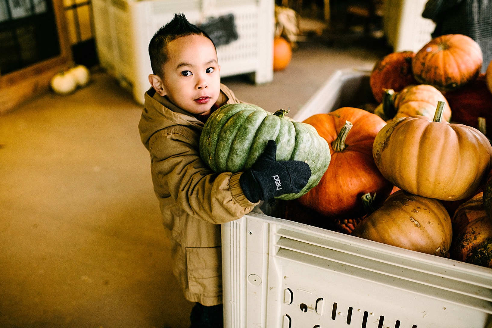 Fall Lifestyle Family Session Poland OH Molnar's Farm