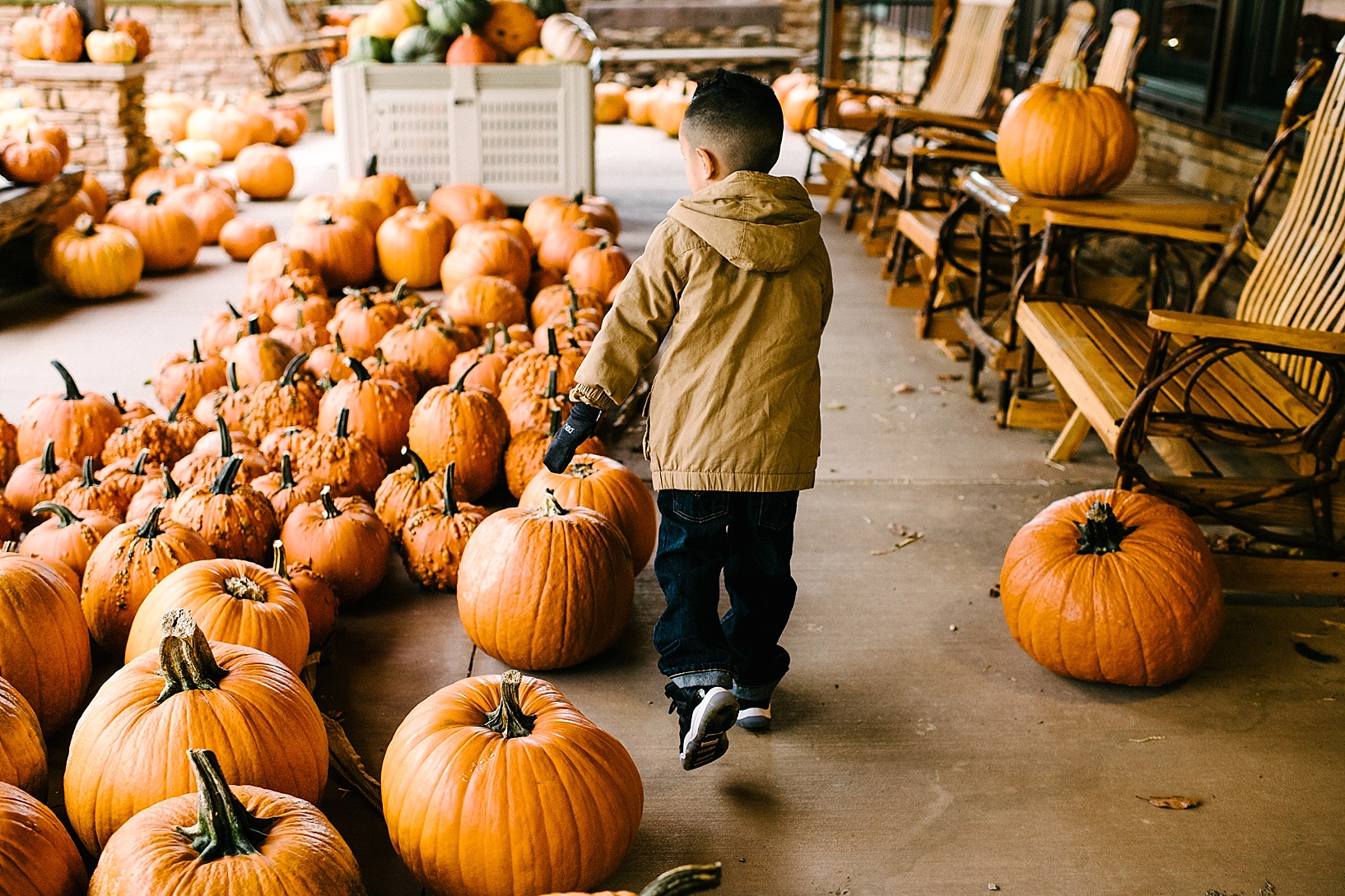 Fall Lifestyle Family Session Poland OH Molnar's Farm