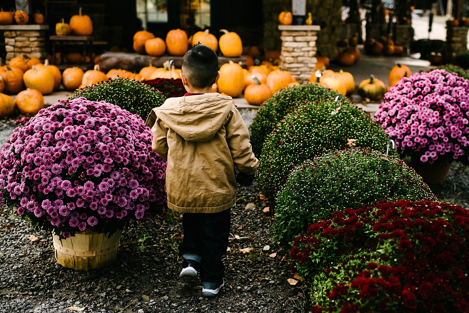 Fall Lifestyle Family Session Poland OH Molnar's Farm
