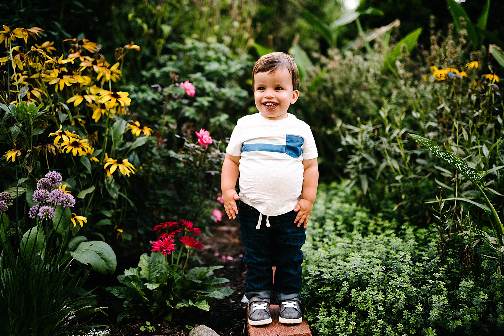 Young boy stands on a brick while surrounded by gorgeous wildflowers at Western Village Reserve