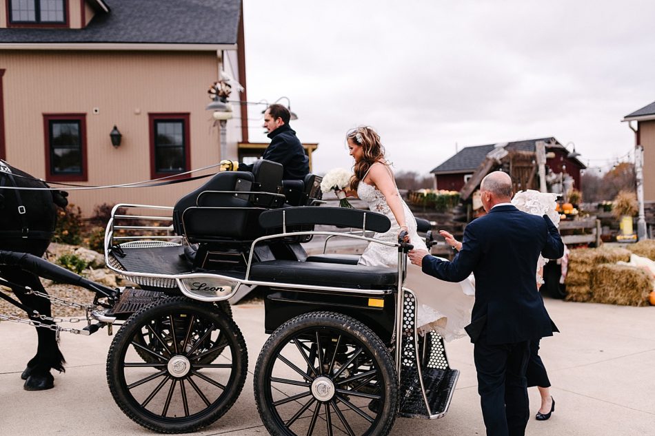 Father of the bride holding the bride's hand and dress as he helps her down from the carriage at Peacock Ridge Barn.