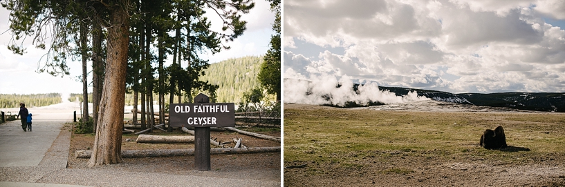 Yellowstone National Park Old Faithful