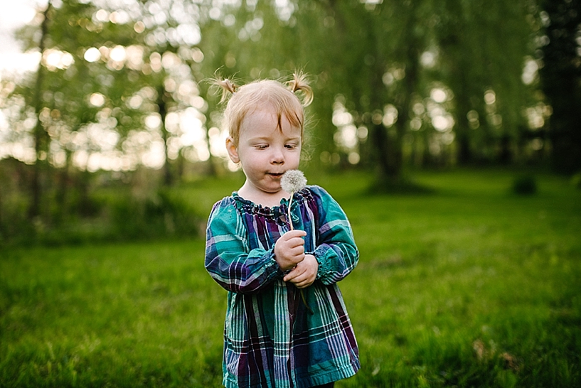toddler girl blowing dandelion
