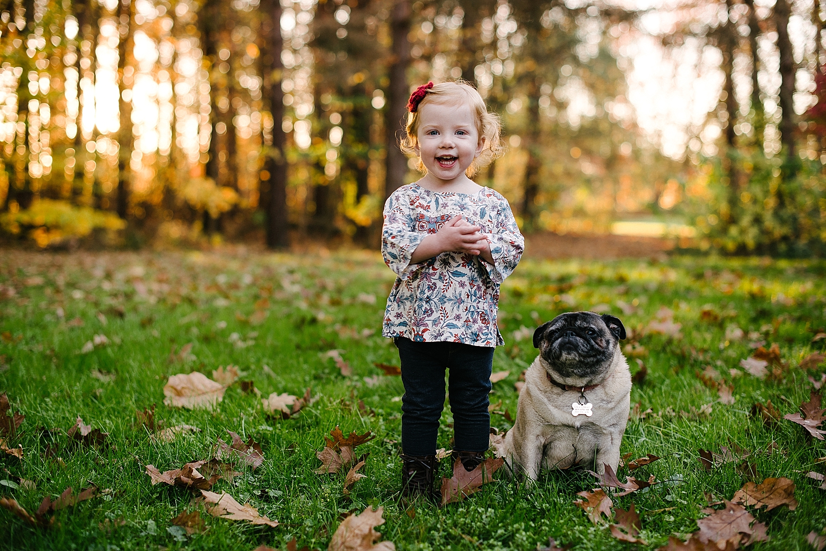 toddler girl redhead standing next to pug in autumn backyard