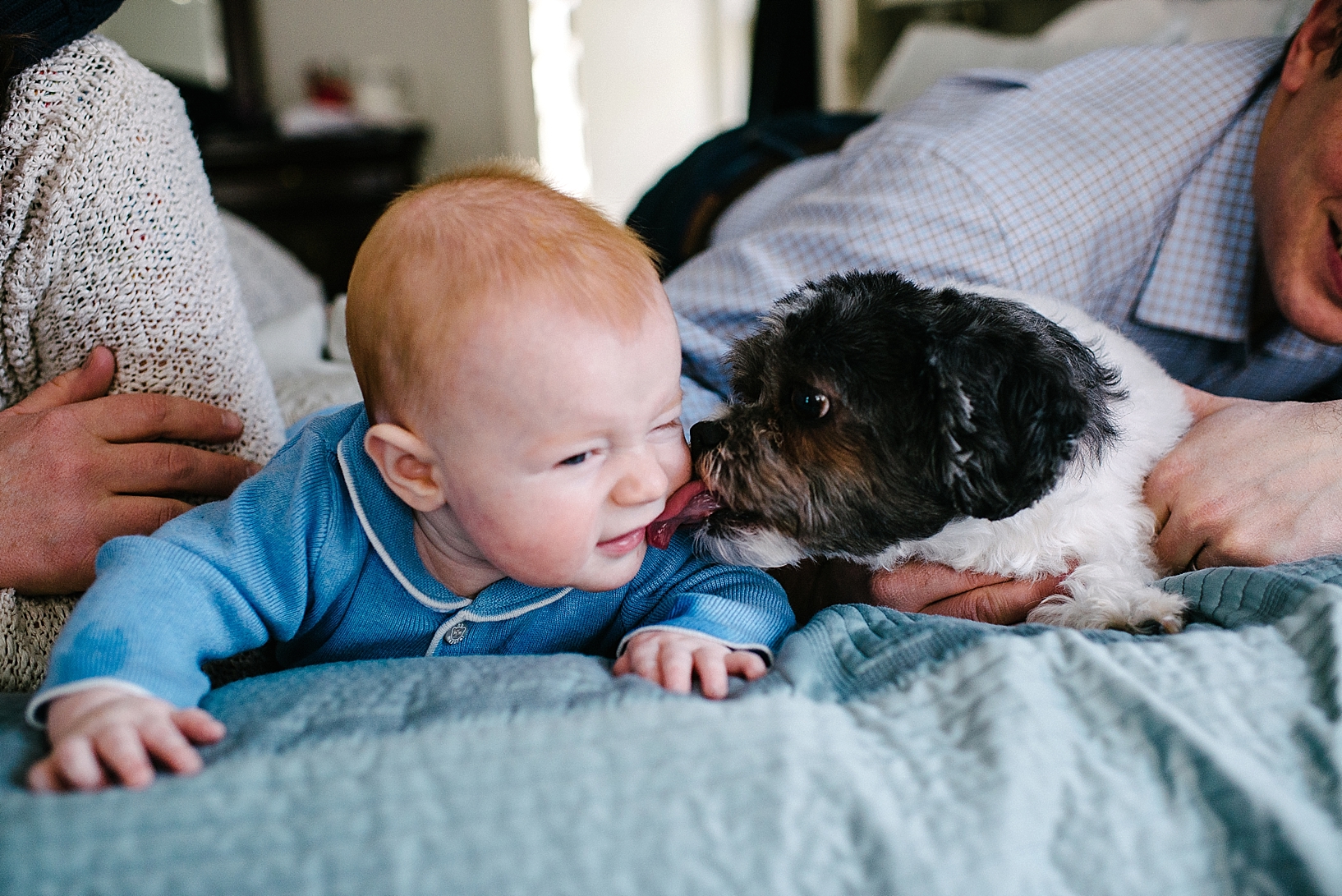 dog licking baby boy on cheek laying on bed