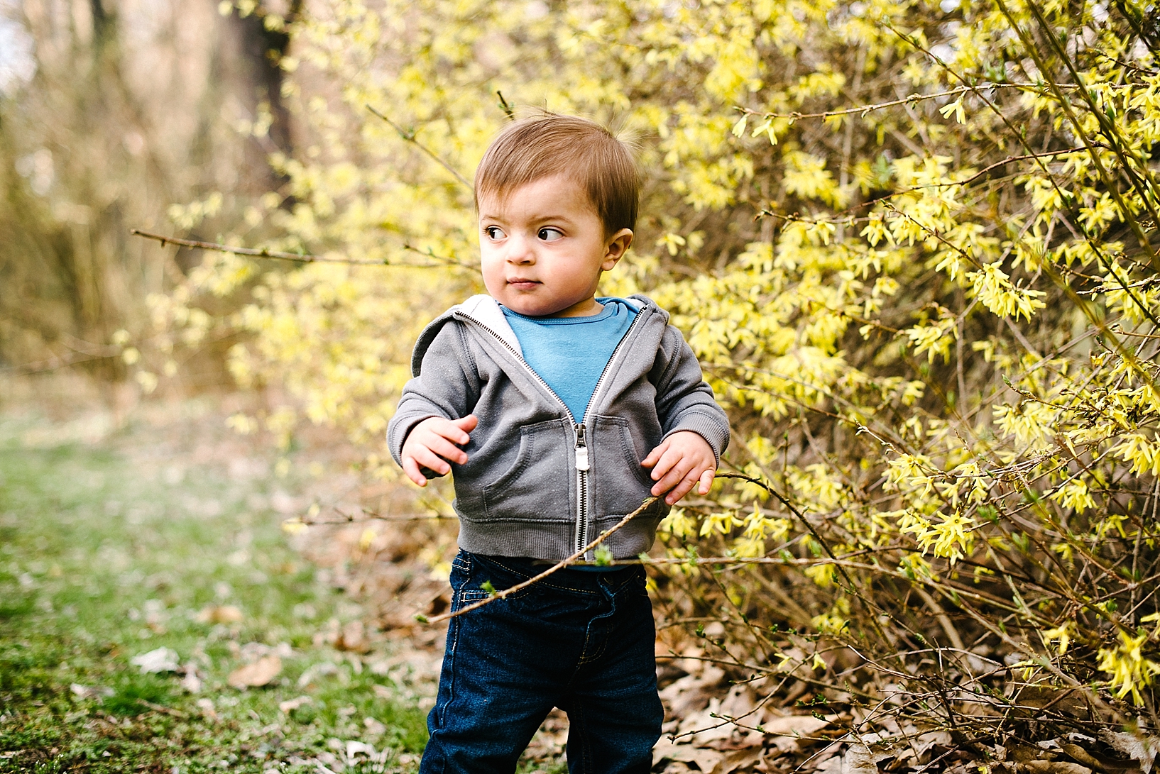 little boy standing by forsythia bush in park