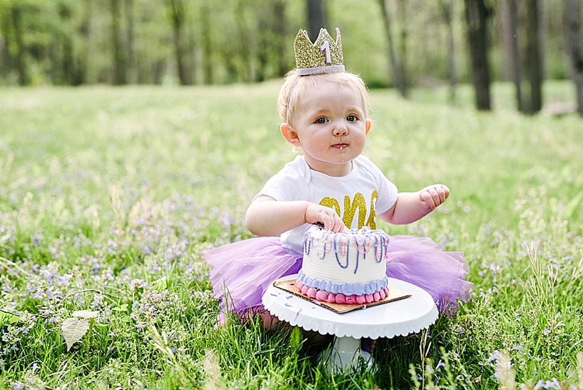 one year old girl wearing purple tutu and crown sitting in grass with smash cake