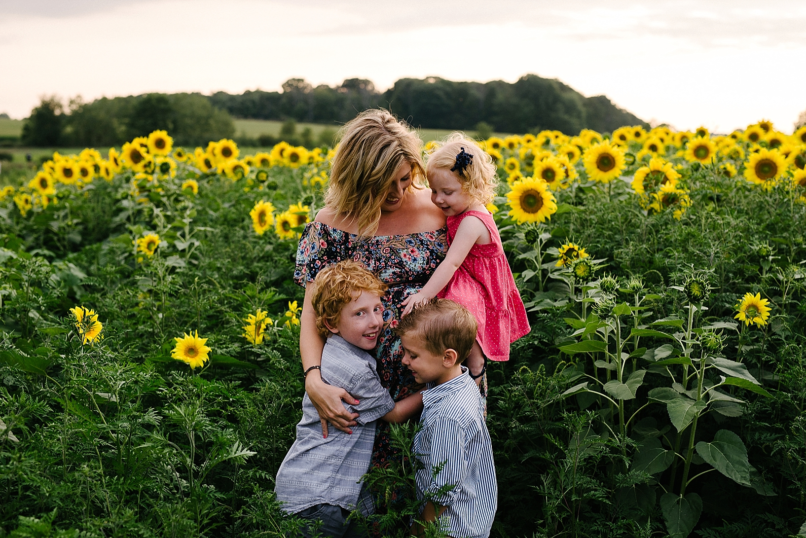 sunflower field maternity family session_0004