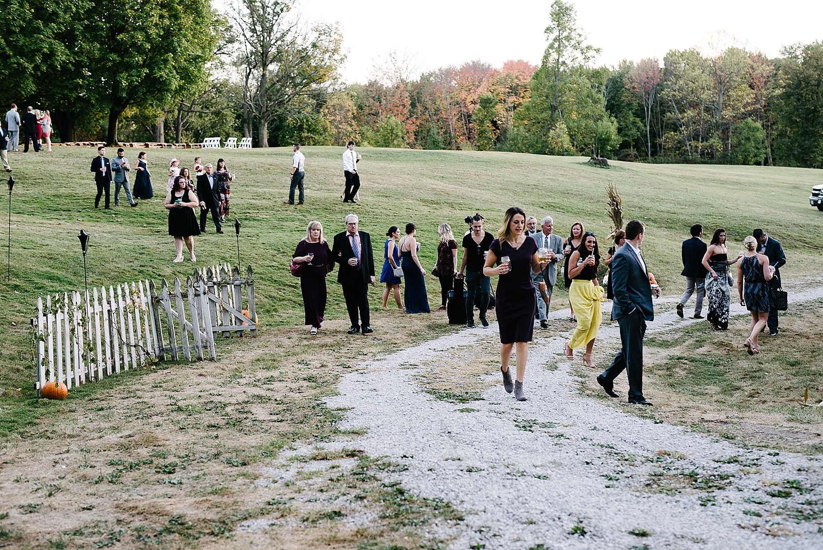 guests walking to barn for reception at Stone Ledge Farm