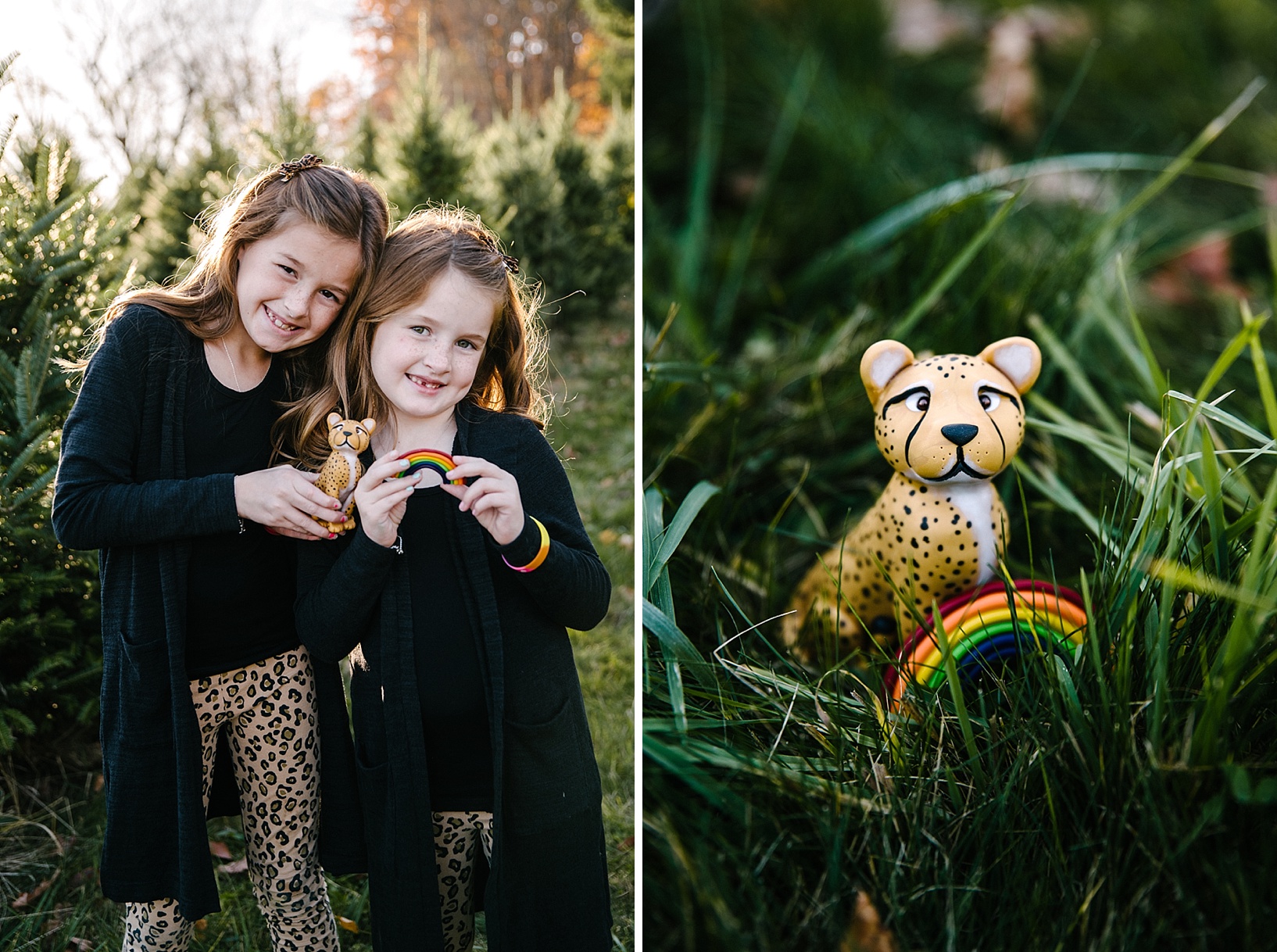 Christmas tree farm family sessions Youngstown OH
