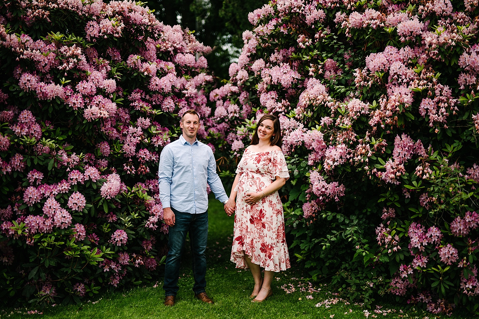 Husband and pregnant wife hold hands in front of giant pink flower bushes during rainy maternity session