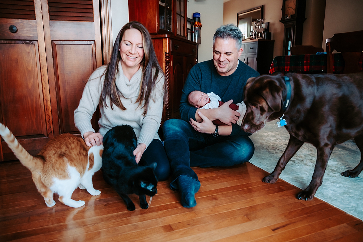 lifestyle newborn session with pets