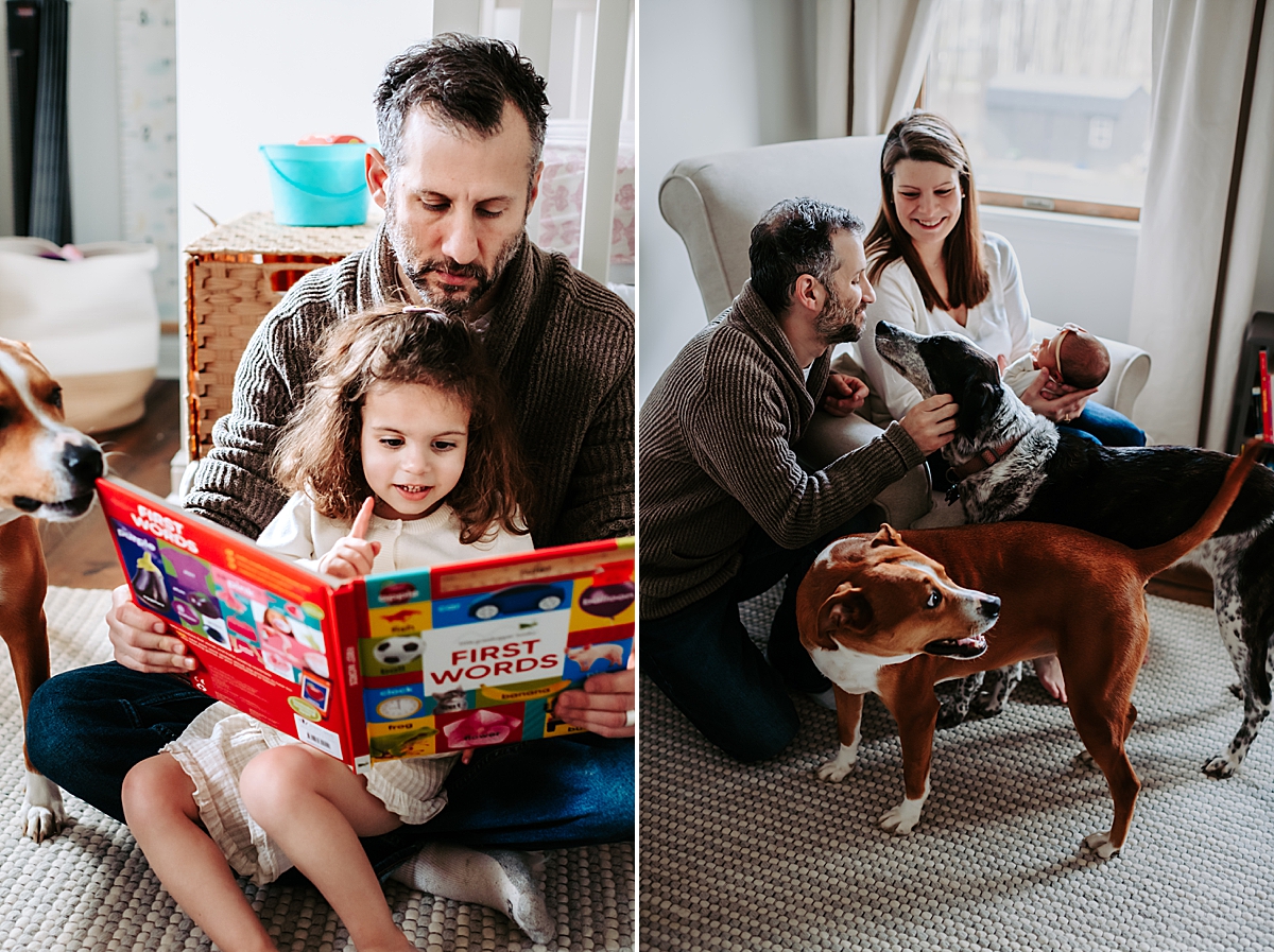 lifestyle newborn session with dogs and toddler